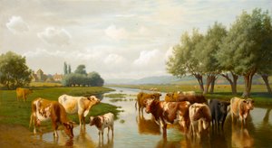 Bétail dans une prairie humide près de Thanington, Kent, 1901